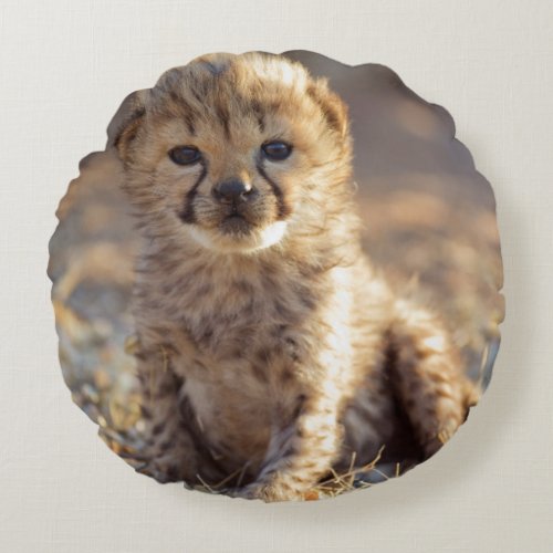 Cheetah 19 days old male cub round pillow