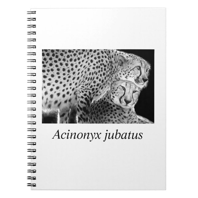 Cheetah#1 Notebook (Front)