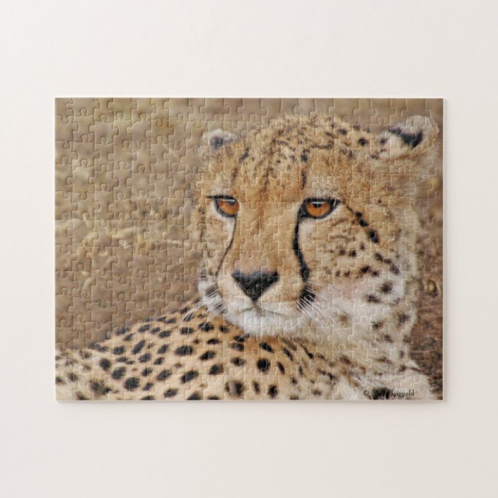 cheetah cat mouse puzzle