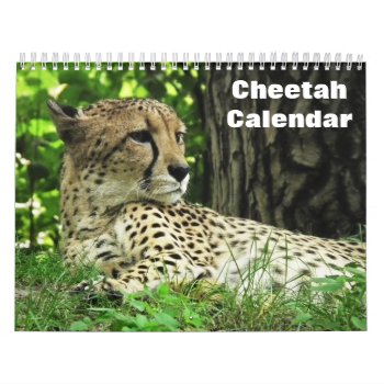 Cheetah 2024 Calendar by sunbuds at Zazzle