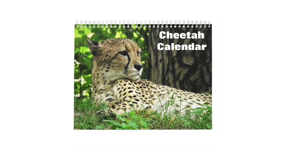 Cheetah 2025 calendar Zazzle