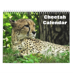 Cheetah 2027 calendar