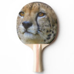 cheetah-21.jpg Ping-Pong paddle