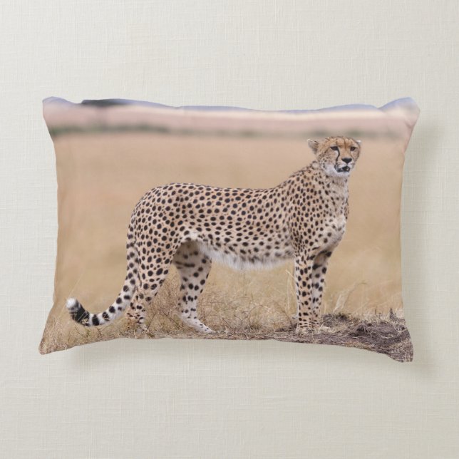Cheetah Accent Pillow (Back)
