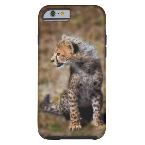 Cheetah Acinonyx Jubatus as seen in the Masai 2 Tough iPhone 6 Case