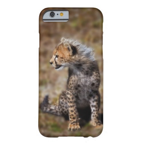 Cheetah Acinonyx Jubatus as seen in the Masai 2 Barely There iPhone 6 Case