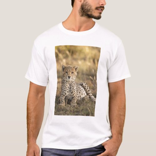 Cheetah Acinonyx jubatus cub laying downin T_Shirt