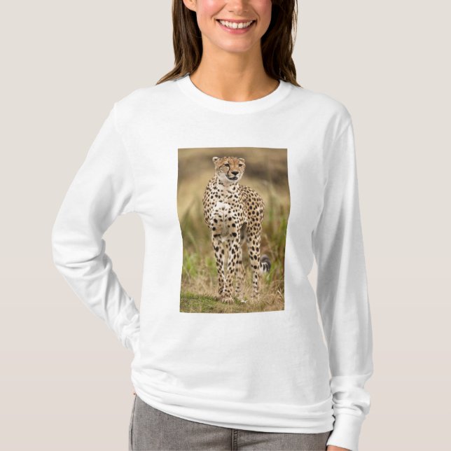 Cheetah, Acinonyx jubatus, in the Masai Mara T-Shirt (Front)