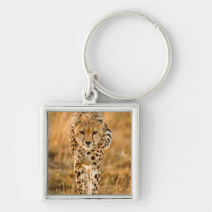 Cheetah (Acinonyx Jubatus) Portrait, Maasai Keychain