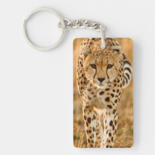 Cheetah (Acinonyx Jubatus) Portrait, Maasai Keychain