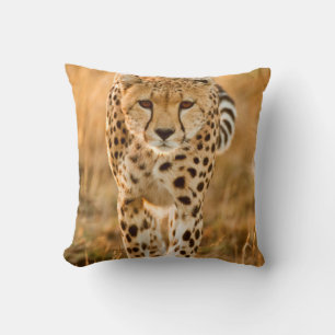 Cheetah (Acinonyx Jubatus) Portrait, Maasai Throw Pillow