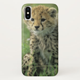 Cheetah, (Acinonyx jubatus), Tanzania, Serengeti iPhone X Case