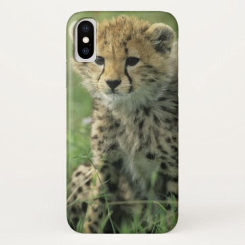 Cheetah Acinonyx jubatus Tanzania Serengeti iPhone X Case