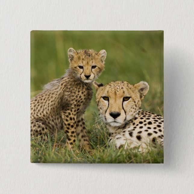 Cheetah, Acinonyx jubatus, with Cub Button (Front)