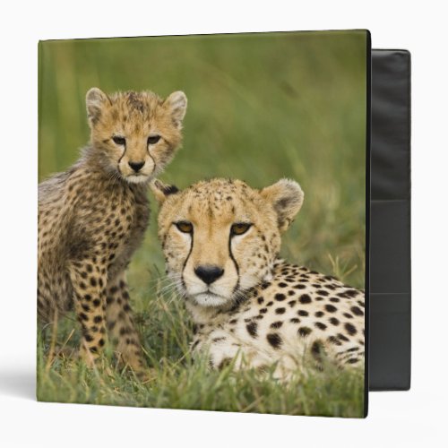 Cheetah Acinonyx jubatus with cub in the Binder