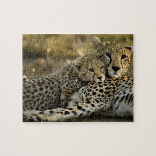 Cheetah Acinonyx jubatus with cub in the Masai 2 Jigsaw Puzzle