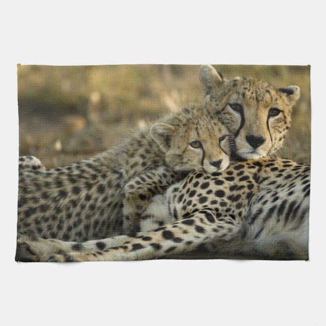 Cheetah, Acinonyx jubatus, with cub in the Masai 2 Kitchen Towel (Horizontal)