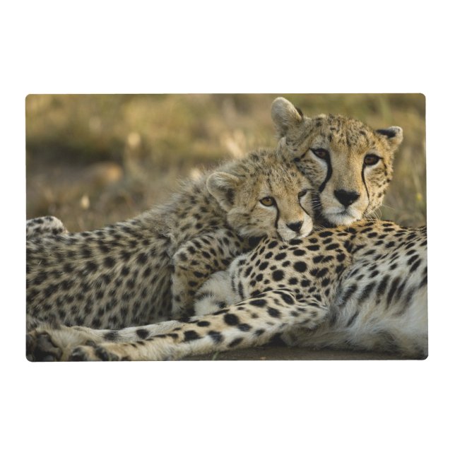 Cheetah, Acinonyx jubatus, with cub in the Masai 2 Placemat (Front)