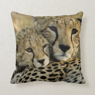Cheetah, Acinonyx jubatus, with cub in the Masai 2 Throw Pillow