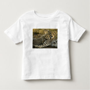 Cheetah, Acinonyx jubatus, with cub in the Masai 2 Toddler T-shirt