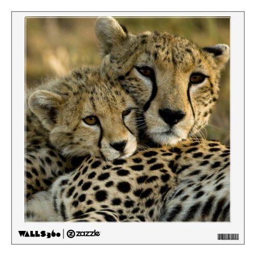 Cheetah Acinonyx jubatus with cub in the Masai 2 Wall Sticker