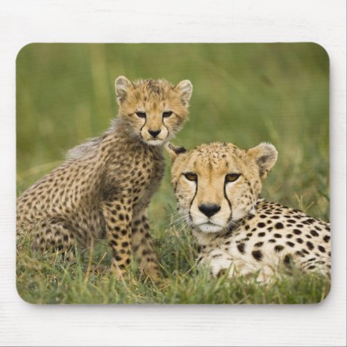 Cheetah Acinonyx jubatus with cub in the Mouse Pad