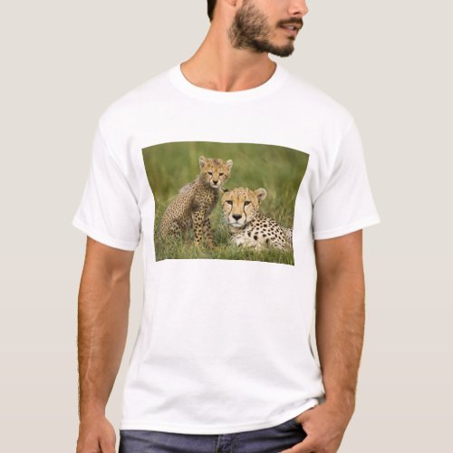 Cheetah Acinonyx jubatus with cub in the T_Shirt