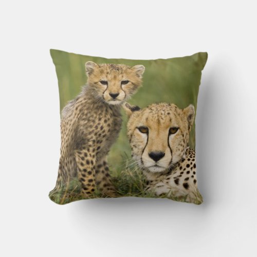 Cheetah Acinonyx jubatus with cub in the Throw Pillow