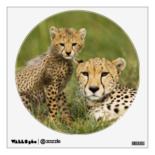 Cheetah Acinonyx jubatus with cub in the Wall Sticker