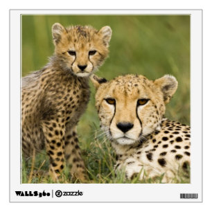 Cheetah, Acinonyx jubatus, with Cub Wall Decal
