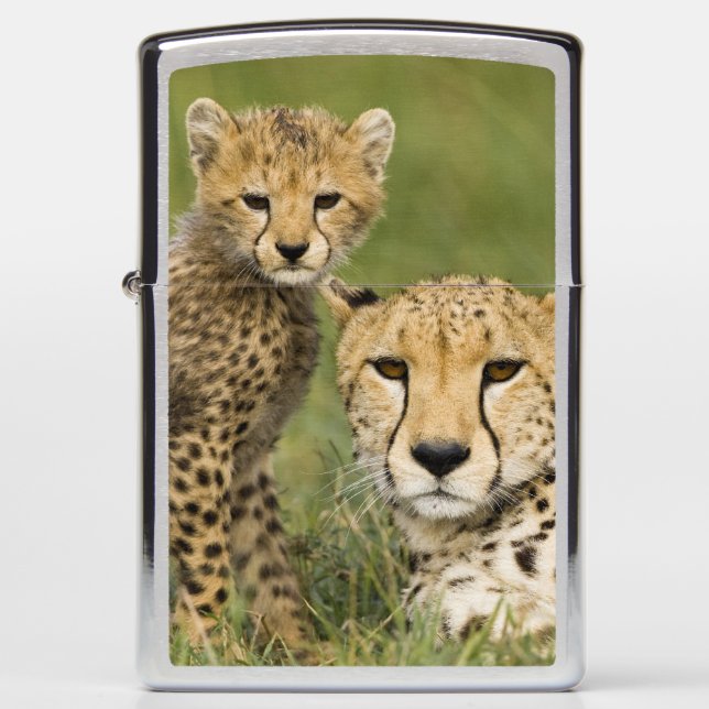 Cheetah, Acinonyx jubatus, with Cub Zippo Lighter (Front)