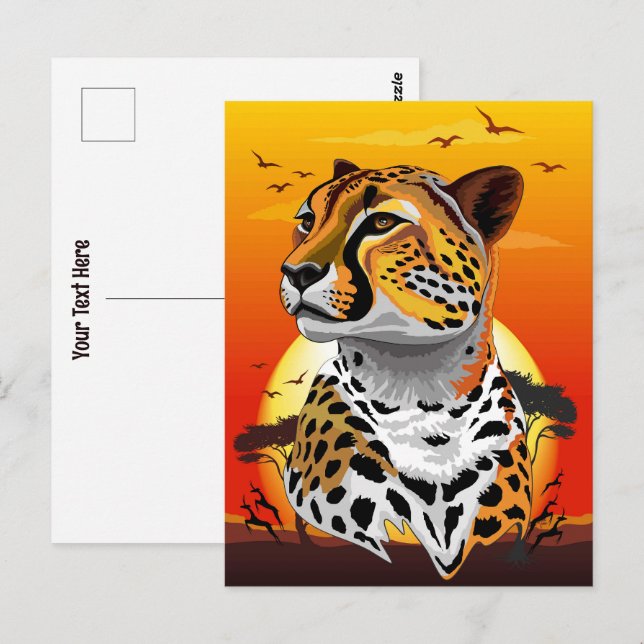 Cheetah African Feline Wild Animal Postcard (Front/Back)