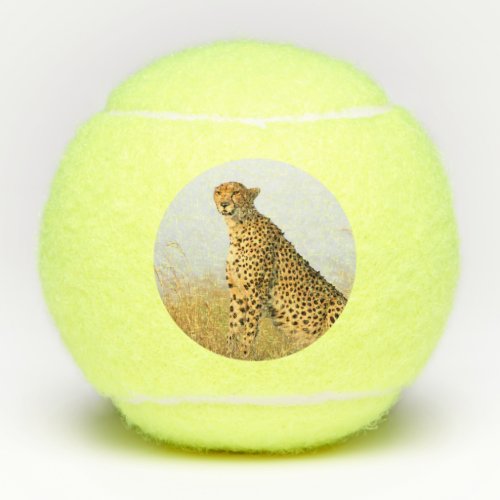 Cheetah african wild animal Big Cat photo Tennis Balls