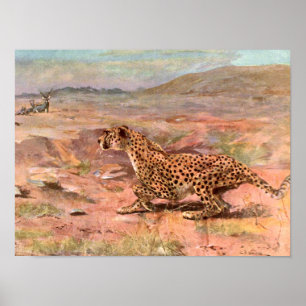 Cheetah and Antelopes by Swan, Vintage Wild Animal Poster