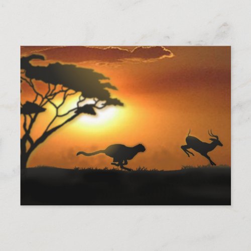 Cheetah and Gazelle post card