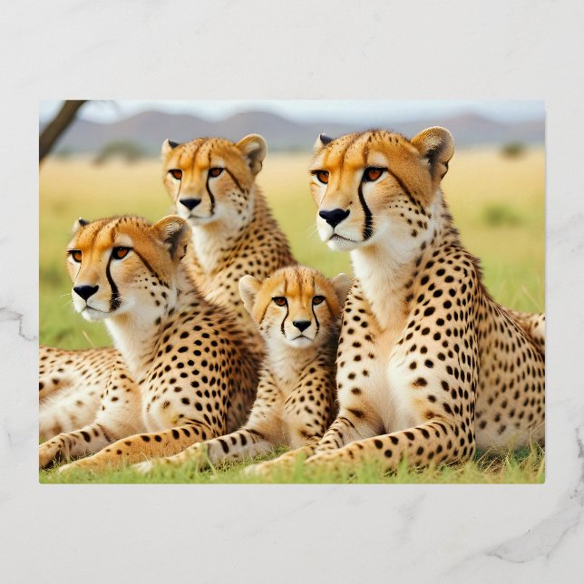 Cheetah Animal Nature Wildlife Affection Caring Foil Holiday Postcard (Front)