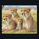 Cheetah Animal Nature Wildlife Affection Caring Jigsaw Puzzle<br><div class="desc">Cheetah Animal Nature Wildlife Affection Caring. A beautiful image artwork featuring the beautiful nature wildlife.</div>