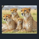 Cheetah Animal Nature Wildlife Affection Caring Jigsaw Puzzle<br><div class="desc">Cheetah Animal Nature Wildlife Affection Caring. A beautiful image artwork featuring the beautiful nature wildlife.</div>
