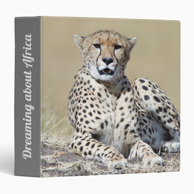 Cheetah at the Masai Mara in Kenya photo 3 Ring Binder (Front/Spine)