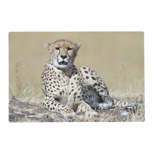 Cheetah at the Masai Mara in Kenya photo Placemat