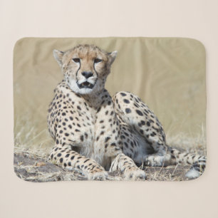 Cheetah at the Masai Mara in Kenya photo Sherpa Blanket