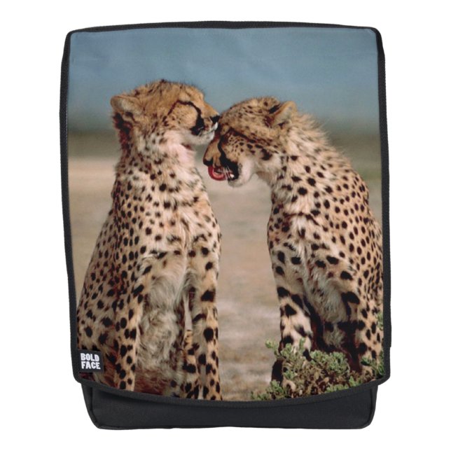Cheetah Backpack (Front)