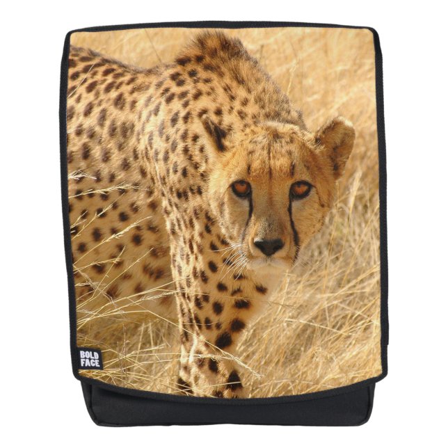 Cheetah Backpack (Front)