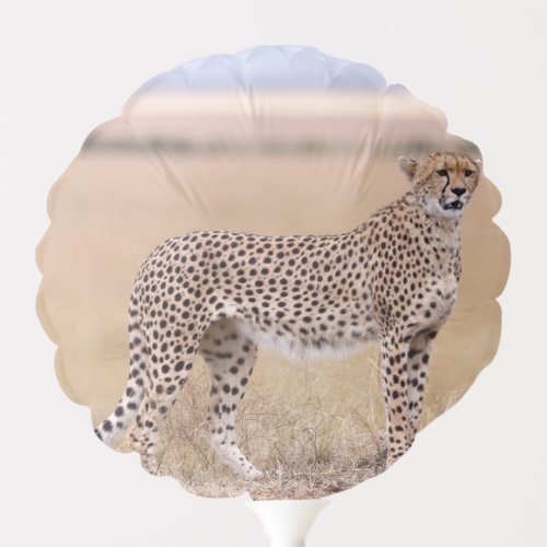 Cheetah Balloon