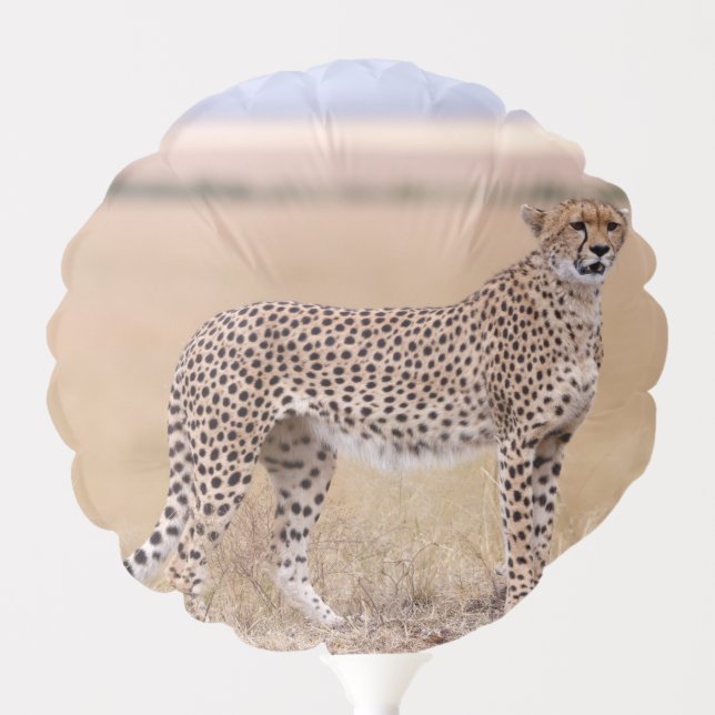 Cheetah Balloon (Front)