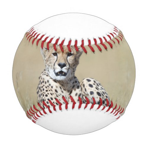Cheetah Baseball