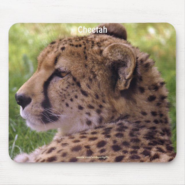 Cheetah Big Cat Wildlife Photo Mousepad (Front)