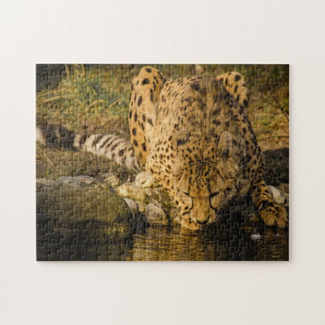 Cheetah Big Cats. Jigsaw Puzzle (Horizontal)