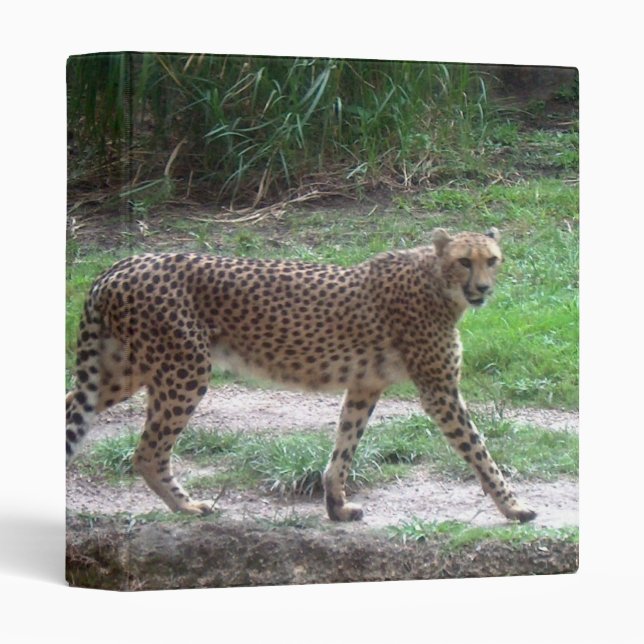 Cheetah Binder (Front/Spine)