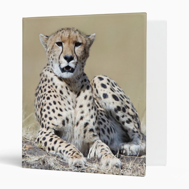 Cheetah Binder (Front/Inside)